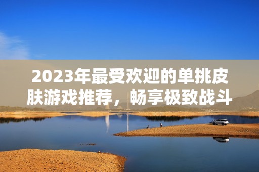 2023年最受欢迎的单挑皮肤游戏推荐，畅享极致战斗体验