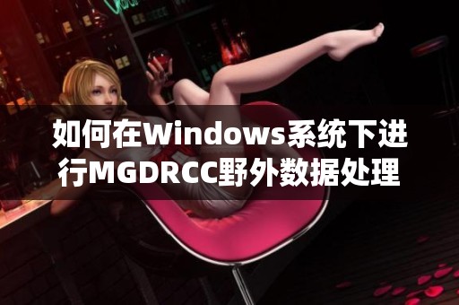 如何在Windows系统下进行MGDRCC野外数据处理与分析