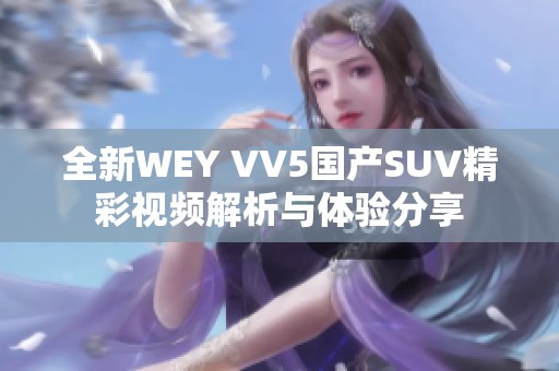 全新WEY VV5国产SUV精彩视频解析与体验分享