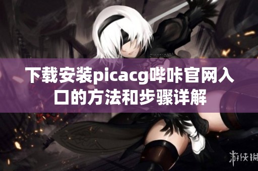 下载安装picacg哔咔官网入口的方法和步骤详解