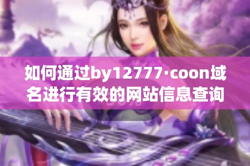 如何通过by12777·coon域名进行有效的网站信息查询