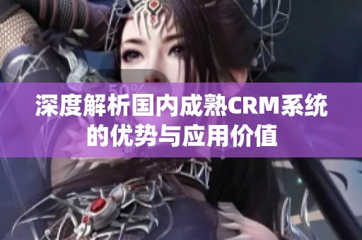 深度解析国内成熟CRM系统的优势与应用价值