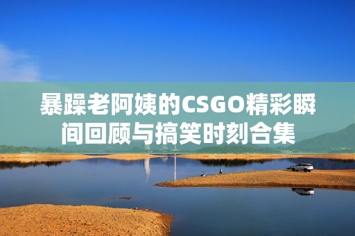 暴躁老阿姨的CSGO精彩瞬间回顾与搞笑时刻合集