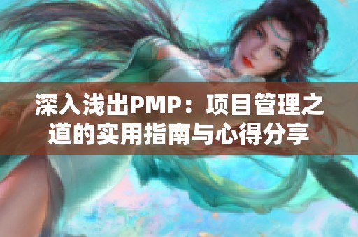 深入浅出PMP：项目管理之道的实用指南与心得分享