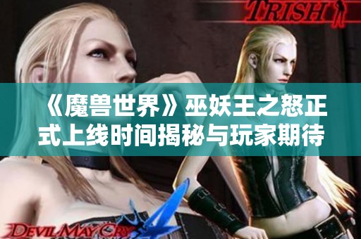 《魔兽世界》巫妖王之怒正式上线时间揭秘与玩家期待分析