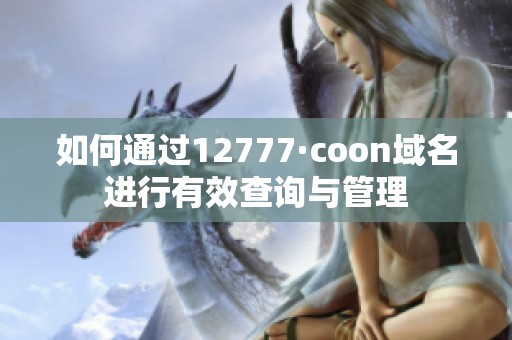 如何通过12777·coon域名进行有效查询与管理