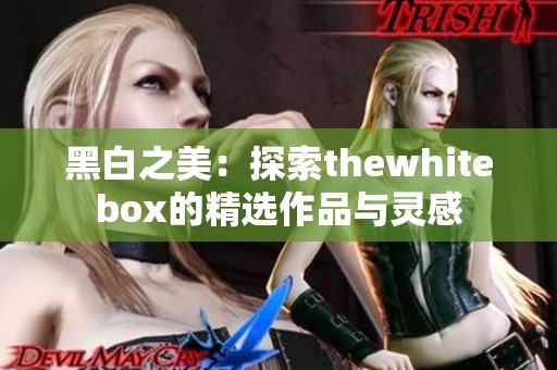 黑白之美：探索thewhitebox的精选作品与灵感