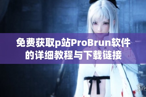 免费获取p站ProBrun软件的详细教程与下载链接