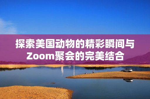 探索美国动物的精彩瞬间与Zoom聚会的完美结合