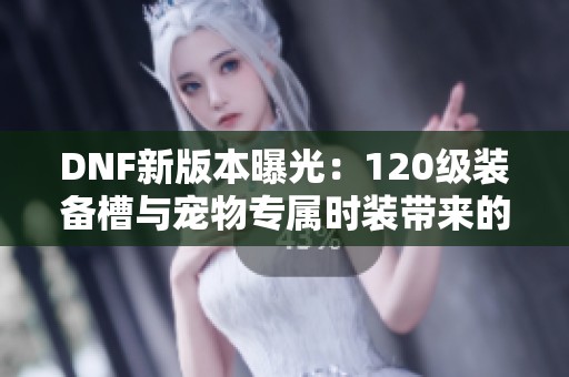 DNF新版本曝光：120级装备槽与宠物专属时装带来的增伤与恢复效果解析