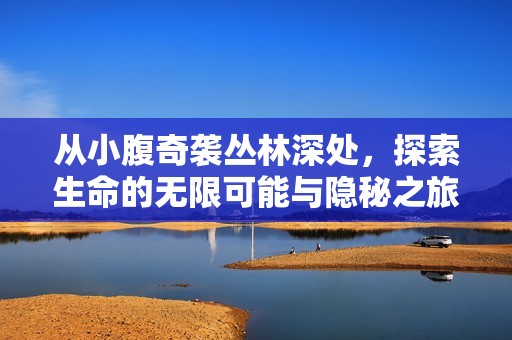 从小腹奇袭丛林深处，探索生命的无限可能与隐秘之旅