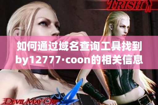 如何通过域名查询工具找到by12777·coon的相关信息