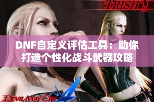 DNF自定义评估工具：助你打造个性化战斗武器攻略