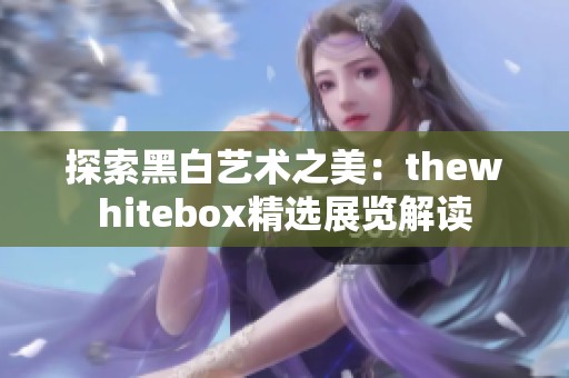 探索黑白艺术之美：thewhitebox精选展览解读