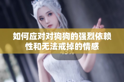 如何应对对狗狗的强烈依赖性和无法戒掉的情感