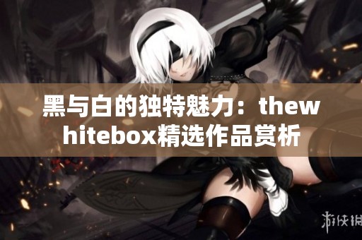 黑与白的独特魅力：thewhitebox精选作品赏析