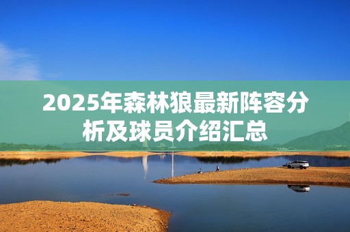 2025年森林狼最新阵容分析及球员介绍汇总