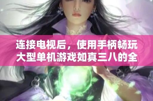 连接电视后，使用手柄畅玩大型单机游戏如真三八的全新体验