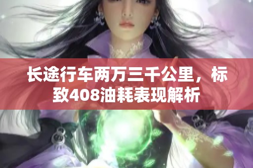 长途行车两万三千公里，标致408油耗表现解析