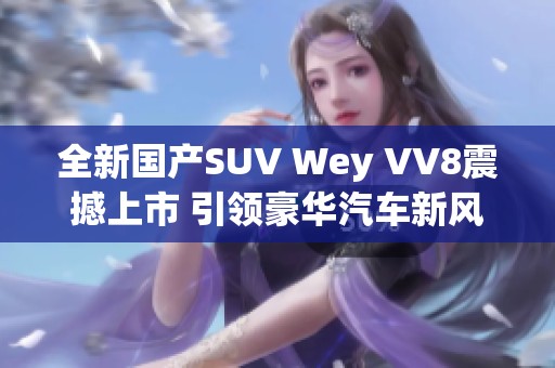 全新国产SUV Wey VV8震撼上市 引领豪华汽车新风潮