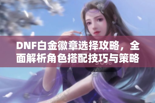 DNF白金徽章选择攻略，全面解析角色搭配技巧与策略