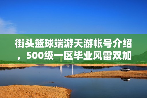 街头篮球端游天游帐号介绍，500级一区毕业风雷双加攻略解析