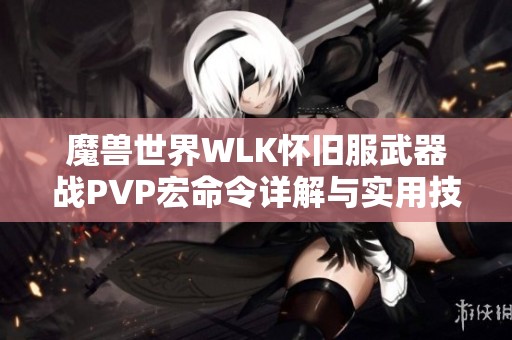 魔兽世界WLK怀旧服武器战PVP宏命令详解与实用技巧分享