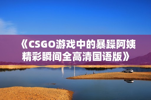 《CSGO游戏中的暴躁阿姨精彩瞬间全高清国语版》