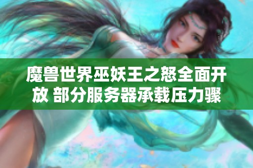 魔兽世界巫妖王之怒全面开放 部分服务器承载压力骤增