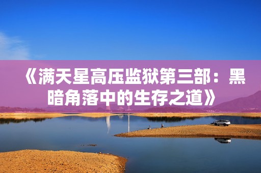 《满天星高压监狱第三部：黑暗角落中的生存之道》