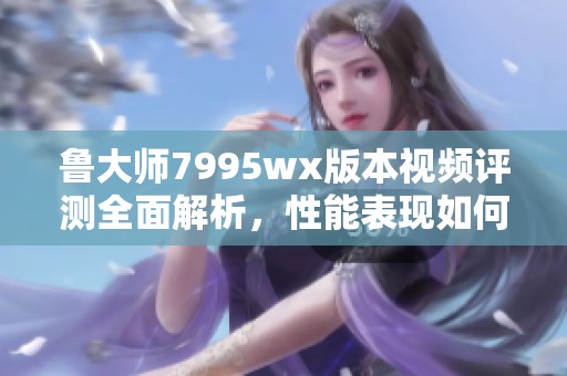 鲁大师7995wx版本视频评测全面解析，性能表现如何揭秘