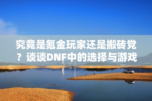 究竟是氪金玩家还是搬砖党？谈谈DNF中的选择与游戏体验