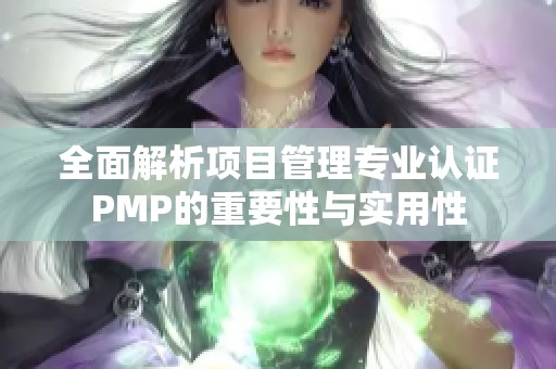 全面解析项目管理专业认证PMP的重要性与实用性