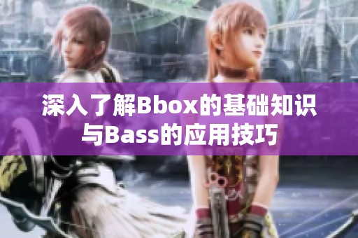 深入了解Bbox的基础知识与Bass的应用技巧