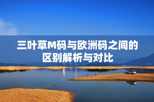 三叶草M码与欧洲码之间的区别解析与对比