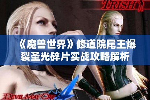 《魔兽世界》修道院尾王爆裂圣光碎片实战攻略解析