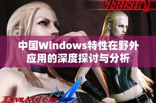 中国Windows特性在野外应用的深度探讨与分析