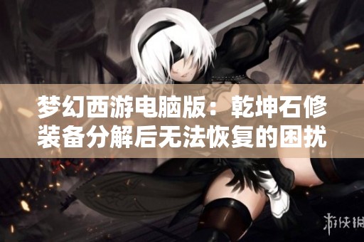 梦幻西游电脑版：乾坤石修装备分解后无法恢复的困扰