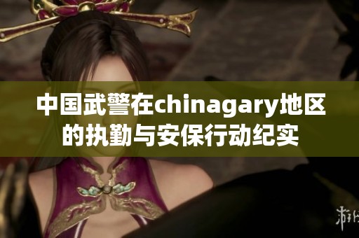 中国武警在chinagary地区的执勤与安保行动纪实