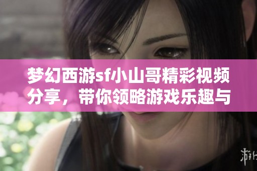 梦幻西游sf小山哥精彩视频分享，带你领略游戏乐趣与技巧