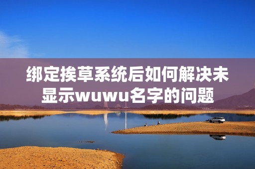 绑定挨草系统后如何解决未显示wuwu名字的问题