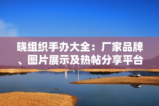 晓组织手办大全：厂家品牌、图片展示及热帖分享平台