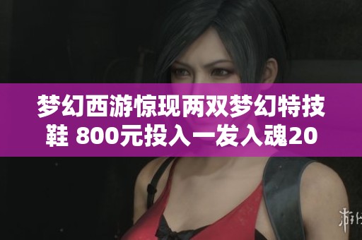 梦幻西游惊现两双梦幻特技鞋 800元投入一发入魂20重获丰收