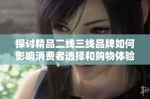 探讨精品二线三线品牌如何影响消费者选择和购物体验