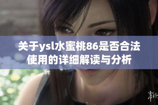 关于ysl水蜜桃86是否合法使用的详细解读与分析