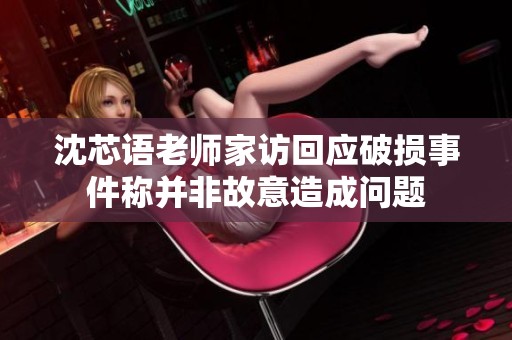 沈芯语老师家访回应破损事件称并非故意造成问题