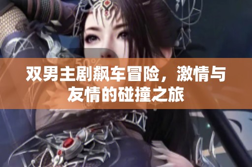 双男主剧飙车冒险，激情与友情的碰撞之旅