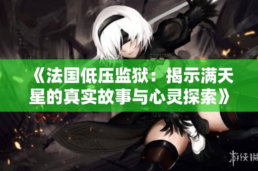 《法国低压监狱：揭示满天星的真实故事与心灵探索》