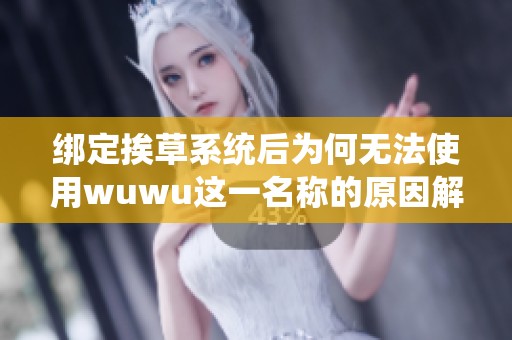 绑定挨草系统后为何无法使用wuwu这一名称的原因解析