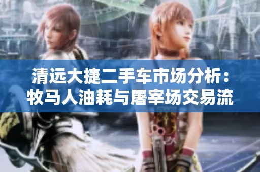 清远大捷二手车市场分析：牧马人油耗与屠宰场交易流程探讨